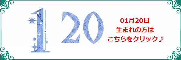 1月20日生まれのラッキーカラー