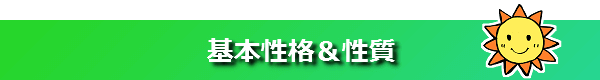 基本診断